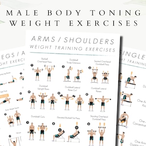 Male Weight Training Exercises, Barbell Exercises, Dumbbell Exercises, Full body Exercises, body shred guide, fitness exercises, ab exercise