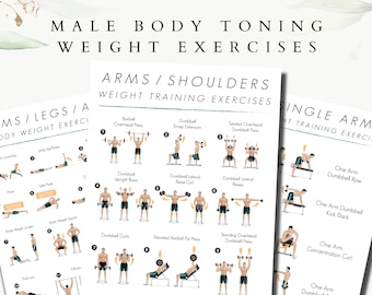 Male Weight Training Exercises, Barbell Exercises, Dumbbell Exercises, Full body Exercises, body shred guide, fitness exercises, ab exercise