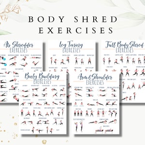 Full body Exercises, body shred guide, fitness exercises, ab exercises, booty exercises, leg exercises, arm and shoulder exercises, healthy