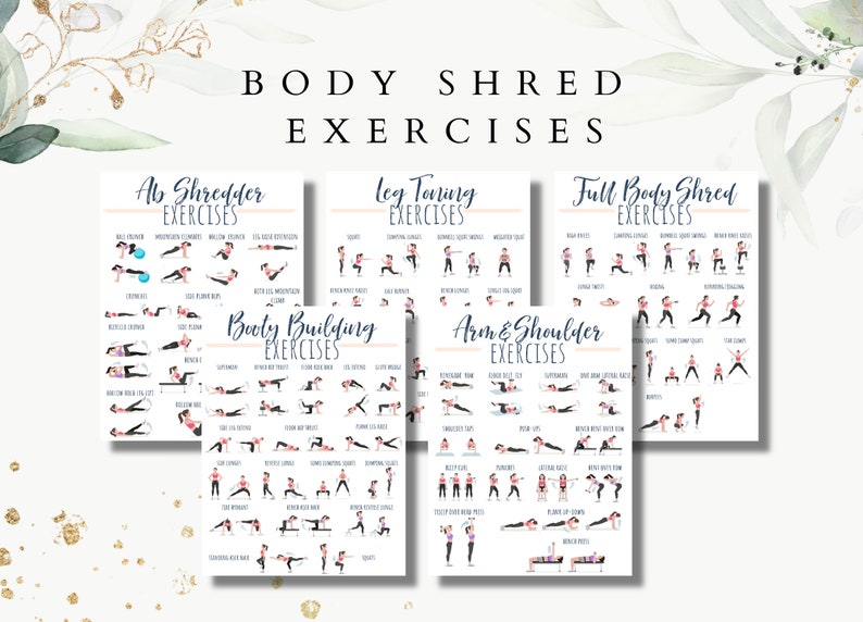 Full body Exercises, body shred guide, fitness exercises, ab exercises, booty exercises, leg exercises, arm and shoulder exercises, healthy image 1