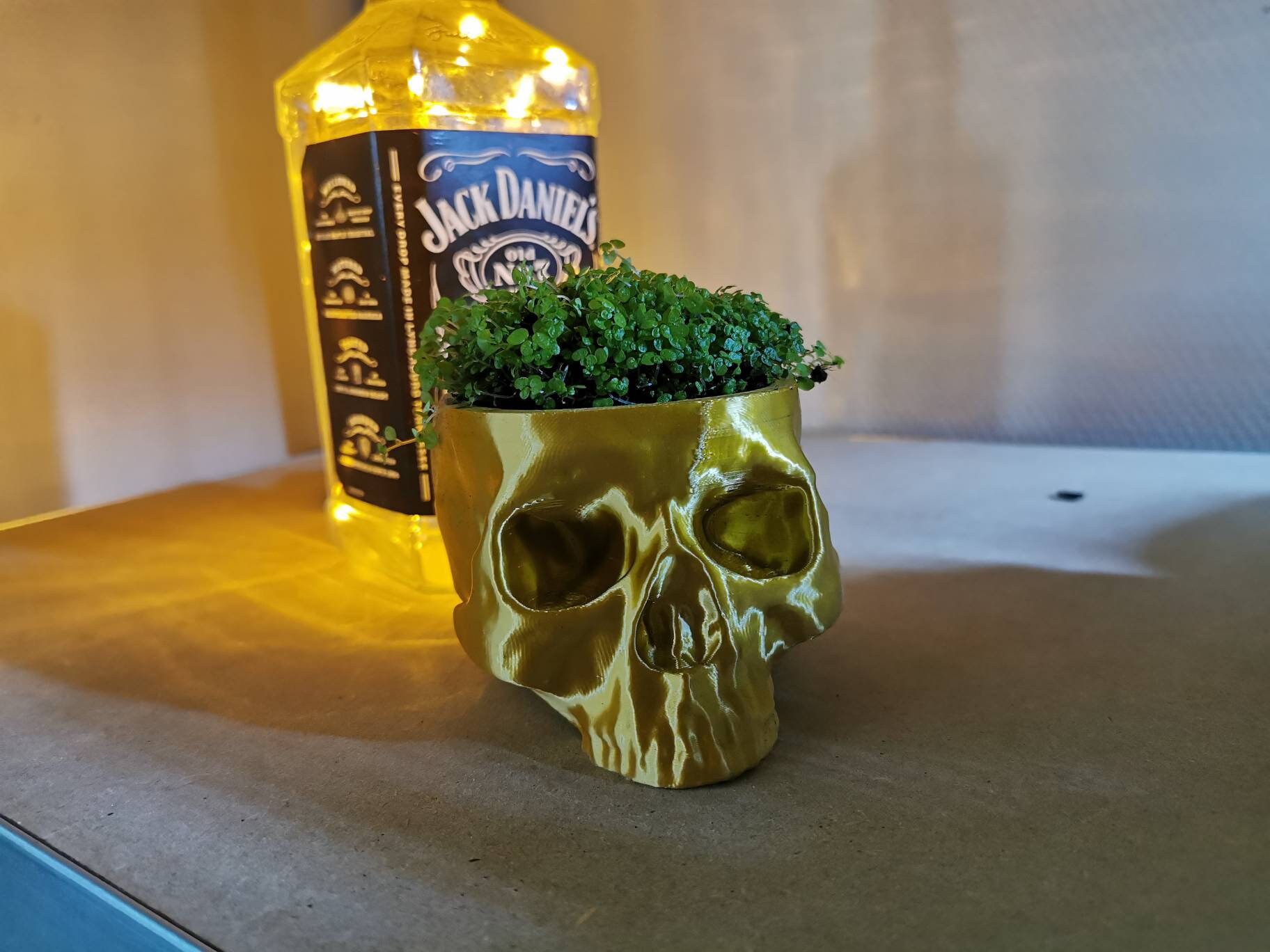 Cache Pot Tête de Mort