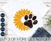 Sunflower SVG, Dog Paw SVG, Paw Print SVG, Dog Mom Svg, Cat Lover Svg, Popular, Shirt, Png, Files For Cricut, Sublimation Designs Downloads 