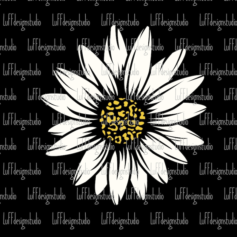 Op de afbeelding: Een witte madeliefje met een geel centrum met een luipaardprint. De madeliefje is ge&iuml;soleerd op een zwarte achtergrond.