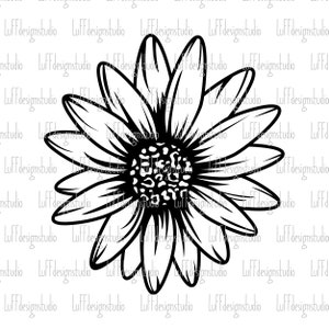 May include: A black and white line drawing of a daisy flower with a large center and many petals.