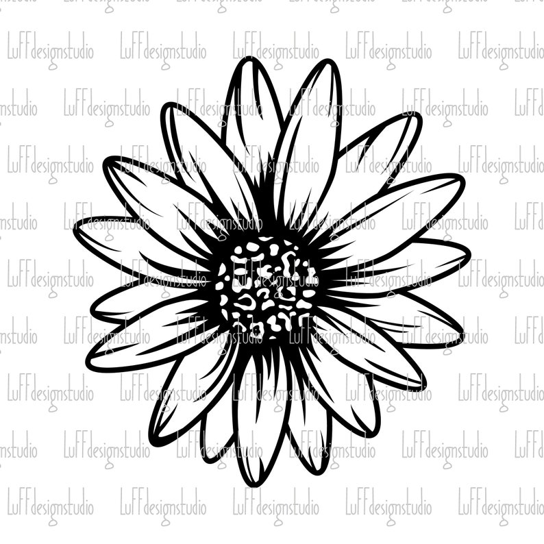 May include: A black and white line drawing of a daisy flower with a large center and many petals.