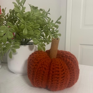 May include: A round, rust-colored crocheted pumpkin featuring a vertical ribbed texture and a straight, light brown cinnamon stick serving as the stem, positioned in front of a small green plant in a white pot.