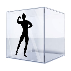 Aufkleber Aufkleber Bodybuilder Figur Gym Freizeit Sport Training Posen im Bodybuilding Übung Laufband Workout Life Fitness Frau LUWFB
