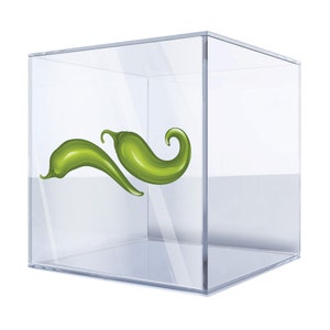 Green Chili Pepper Sticker – Vibrant Vinyl Decal for Kitchen Decor, Spicy Food Lovers, and Unique Art Projects BBI7B