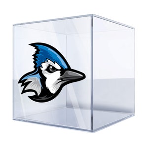 Calcomanía de vinilo de arrendajo azul: calcomanía con diseño de pájaro llamativo para automóviles, computadoras portátiles y paredes, duradera y resistente a la intemperie AUUUI