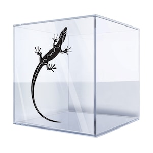 Puede incluir: Una silueta negra de un lagarto con una cola larga dentro de un cubo transparente.