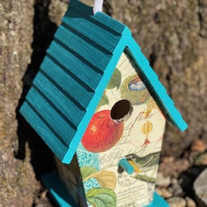 Petite Birdhouse,Apples and birds
