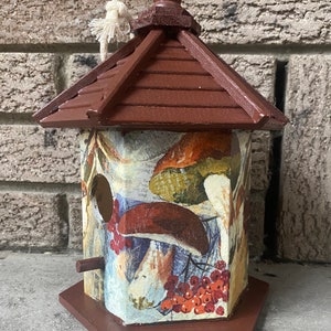 Birdhouse, The Art of Mushrooms