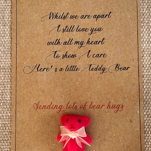 Abbraccio tascabile, mi manchi, abbraccio da orso, abbraccio a distanza, regalo di mancanza, regalo di isolamento, pensando a te orso, invio amore e coccole, pubblica un abbraccio da orso