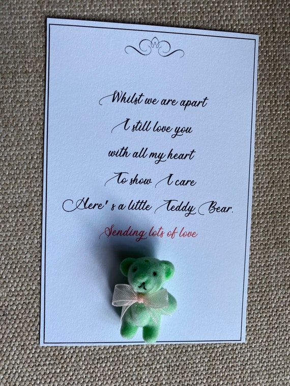 pocket hug teddy bear