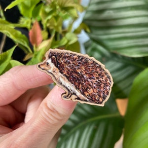 Hedgehog Mini Wooden Pin Badge 40mm