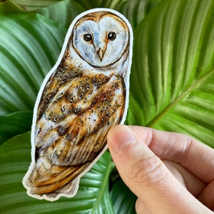 Barn Owl Glossy Vinyl Sticker 11cm