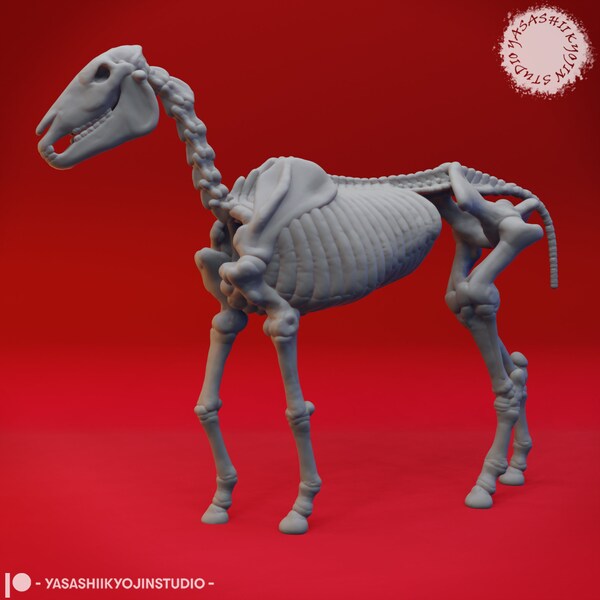 Skeleton Horse Etsy