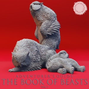 Owlbear (4 modellen) • Tome of Beasts • van Yasashii Kyojin Studio voor Dungeons and Dragons | D&D | DnD | Tafelblad | Wargames | Harsminiatuur