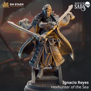 May include: A detailed figurine of Ignacio Reyes, Hexhunter of the Sea, holding two swords. The figure is dressed in a long coat and chainmail, standing on a wooden platform. The image includes the text "Blood on the Sails" and the DM Stash logo.