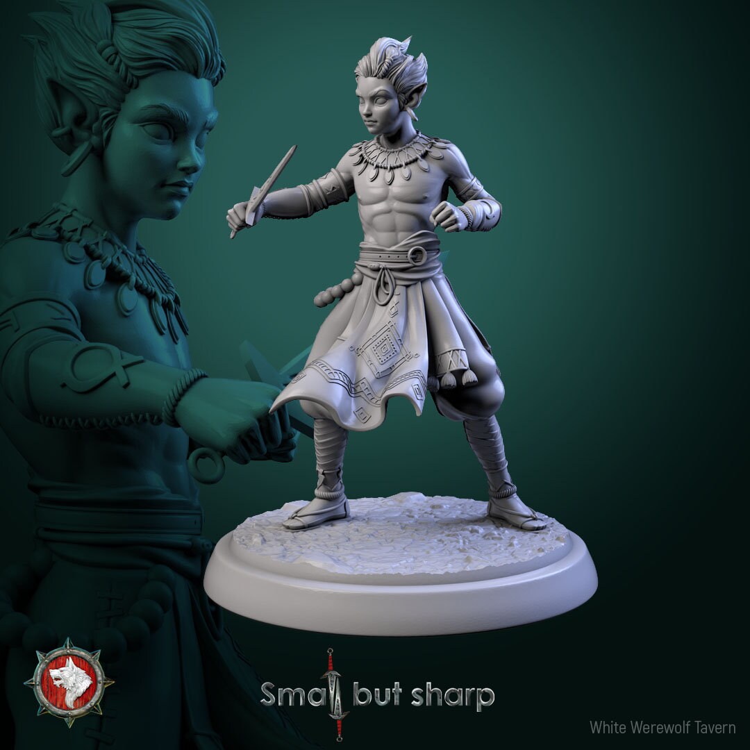 Halfling Monk Miniature Set for Dungeons and Dragons Tabletop RPG - Etsy