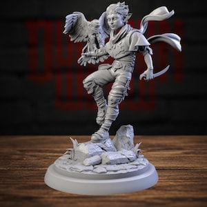 Peut inclure: Une figurine miniature en résine grise non peinte représentant un personnage aux oreilles pointues, portant une écharpe, une tunique et une armure, tenant une petite dague. Un faucon est perché sur le bras tendu, sur un socle rocheux.
