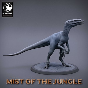 Wild Raptor Pack (7 Poses) • Mist of the Jungle • by Rescale Miniatures | Dungeons and Dragons | Tabletop Games | DND | Resin Miniature