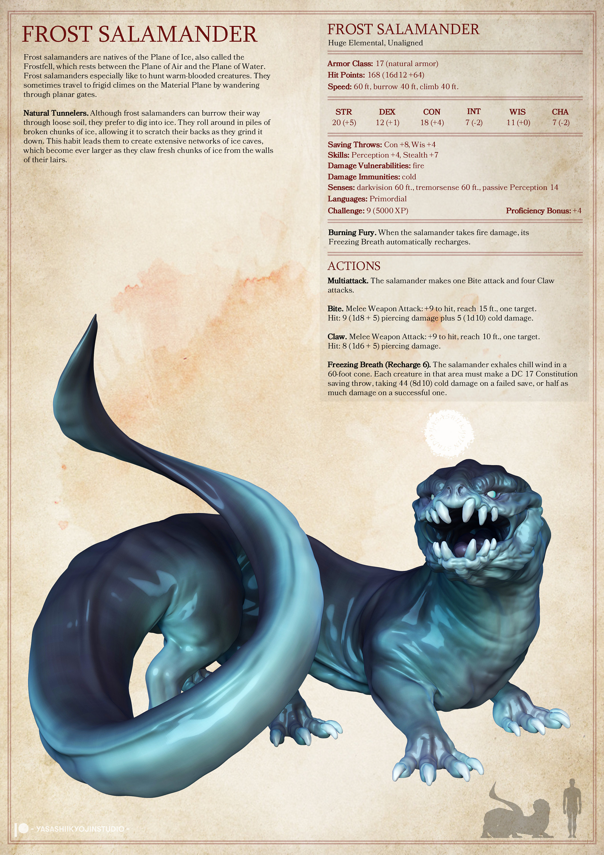 ダンジョンズ＆ドラゴンズ | D&D | DnD | テーブルトップ | ウォー 