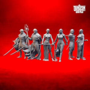 Miniatura Drows Mini Set de Dungeons and Dragons para juegos de rol de mesa
