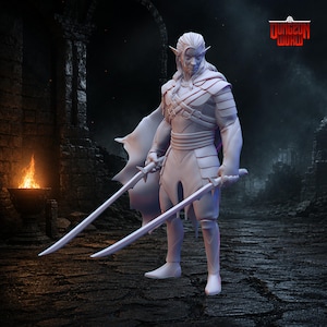 May include: A detailed figurine of an elf warrior, clad in armor and holding two curved swords. The figure has long, pointed ears and flowing hair. The background shows a dark, stone environment with a fire pit and the "Dungeon World" logo.