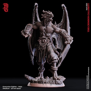 Draconian Fighter Male • The Crimson Calamity • by Flesh Of Gods | Dungeons and Dragons | Tabletop Games | Wargames | Resin Miniature