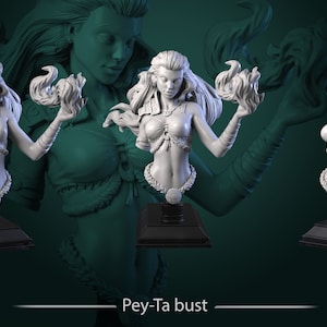 Pey-Ta Bust • The Light Conclave • by White Werewolf Tavern | Dungeons and Dragons | Tabletop Games | Resin Miniature