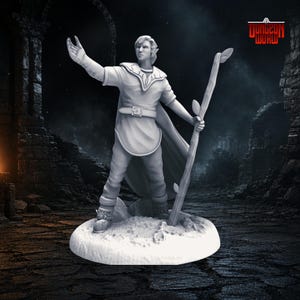 Halvalv Druid Dungeons and Dragons Miniature för bords-RPG:er