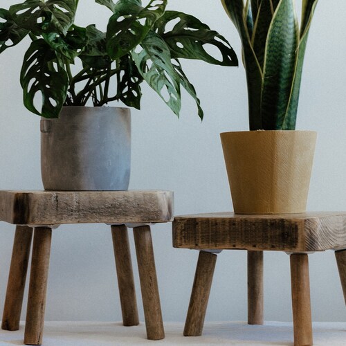 Plant Pot Stand Wood Plant Stand Hand Made in Uk in Solid - Etsy