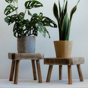 Wooden Plant Pot Stand Pair