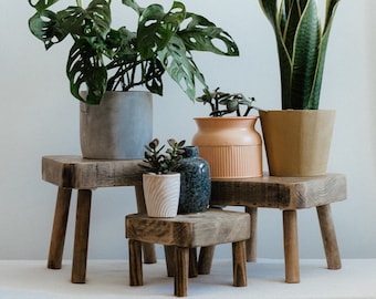 Rustic Wooden Plant Pot Stand Family