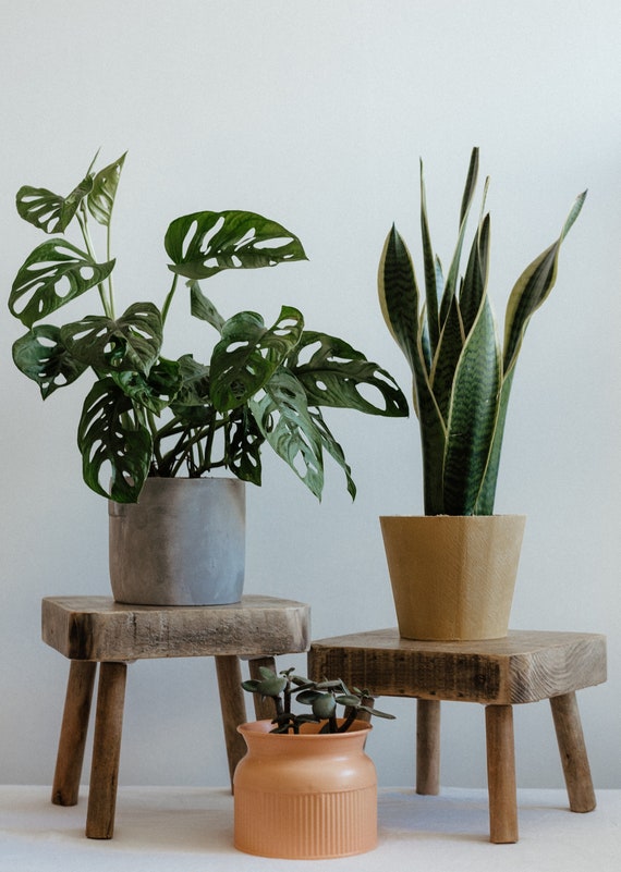Stool for plant pot deals