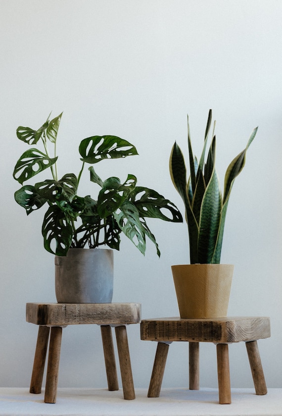 Wooden plant cheap pot stool
