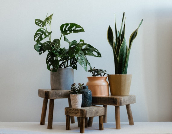 Plant cheap pot stool