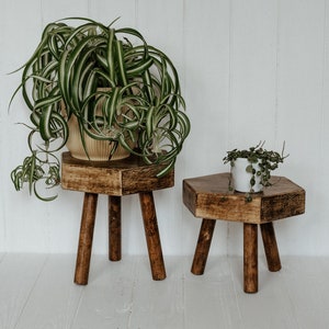May include: Two wooden plant stands with hexagonal tops and three legs each. The larger stand holds a potted spider plant with long, green and white striped leaves. The smaller stand has a small plant in a white pot.