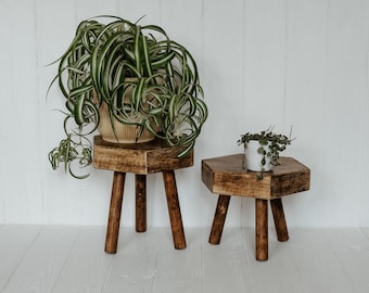 Hexagonal plant pot stand pair