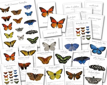 May include: A set of 16 illustrated cards featuring different North American butterflies. Each card includes a colorful illustration of a butterfly, its common name, and scientific name. The cards are printed on white cardstock and are perfect for learning about butterflies.