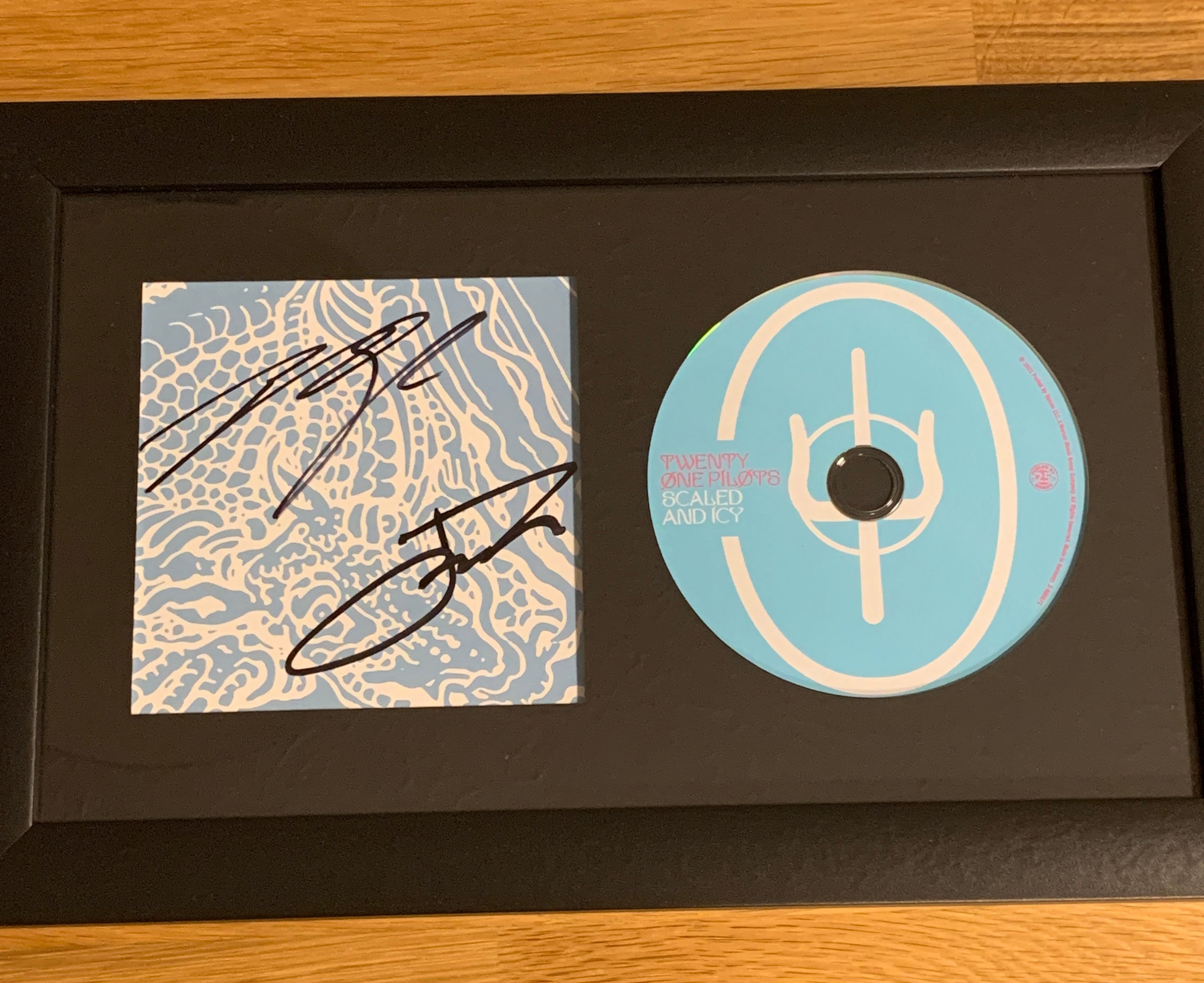 トゥエンティ・ワン・パイロッツ（Twenty One Pilots)サイン色紙 TWENTY ONE PILOTS SIGNED AUTOGRAPH ALBUM VINYL RECORD