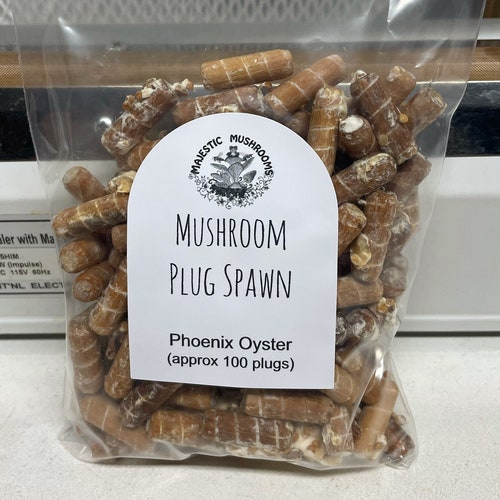 Maitake Mushroom Plug Spawn 100x FREE USA Shipping Etsy