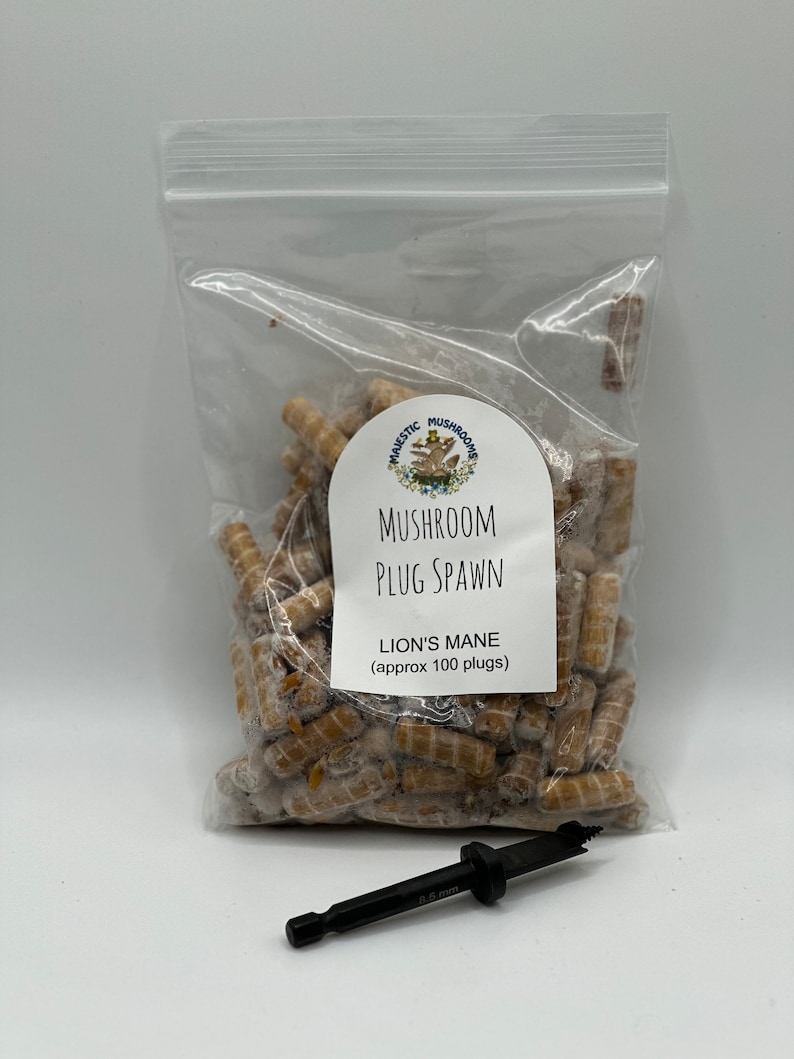 May include: A bag of mushroom plug spawn for growing Lion's Mane mushrooms. The bag contains approximately 100 plugs and includes a drill bit for making holes in logs.  "Majestic Mushrooms" is printed on the label.