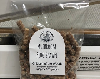 Chicken of the Woods Mushroom Plug Spawn 100x - FREE USA shipping