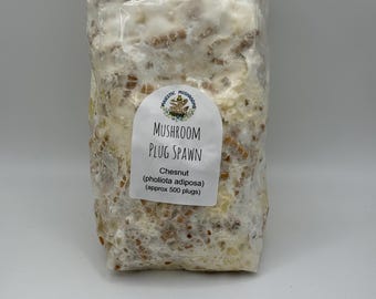 Chestnut (pholiota adiposa) Mushroom Plug Spawn 500x - FREE USA shipping