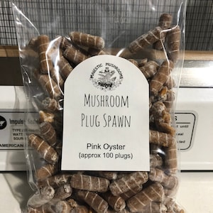 Pink Oyster Mushroom Plug Spawn 100x - FREE USA shipping