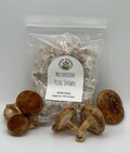 Shiitake Mushroom Plug Spawn 100x - FREE USA shipping