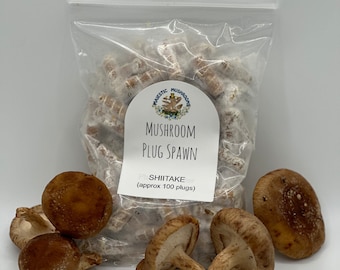 Shiitake Mushroom Plug Spawn 100x - FREE USA shipping