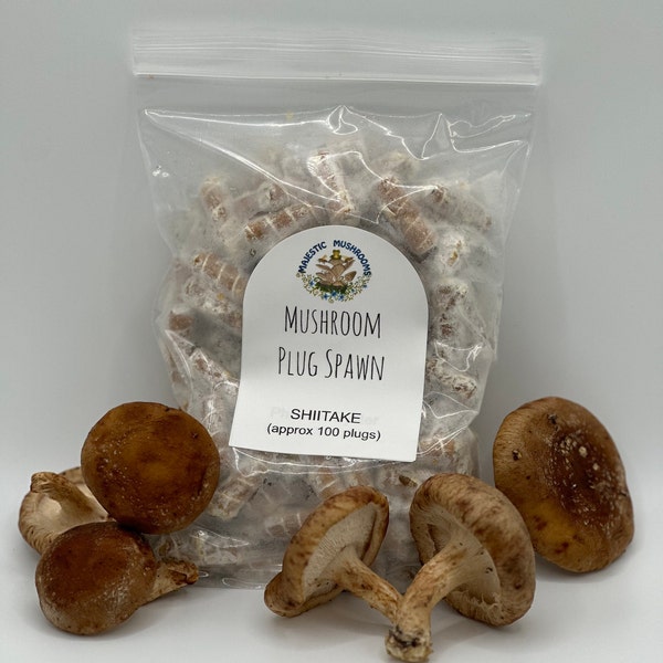 Shiitake Mushroom Plug Spawn 100x - FREE USA shipping